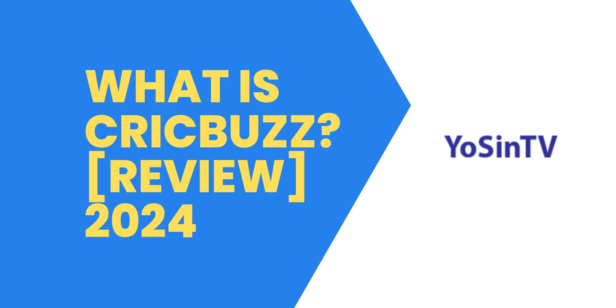 What is Cricbuzz [Review] 2024